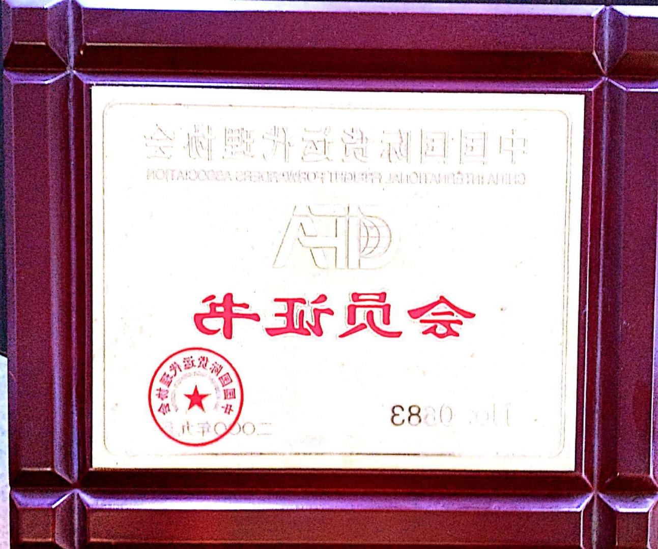 中国国际货运代理协会